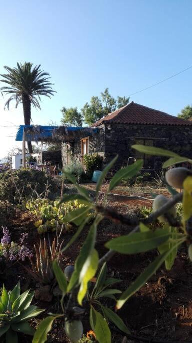 Casita En El Campo Con Vista Al Oceano Villa Tijarafe Luaran gambar