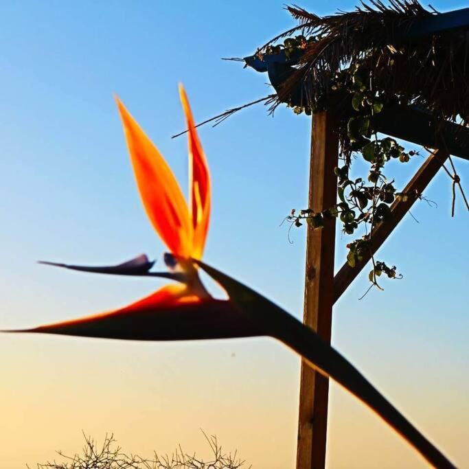 Casita En El Campo Con Vista Al Oceano Villa Tijarafe Luaran gambar